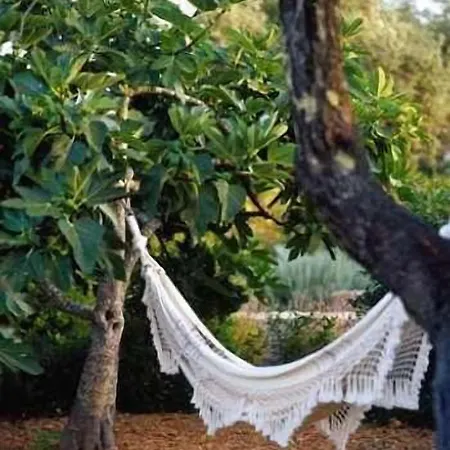 Quinta Da Lua 4*