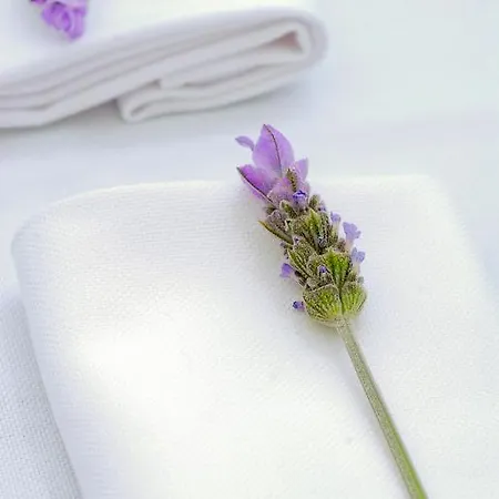 Oda ve Kahvaltı Quinta Da Lua 4*