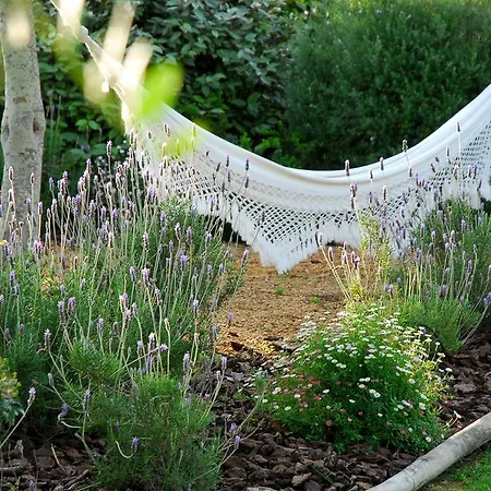 Oda ve Kahvaltı Quinta Da Lua 4*