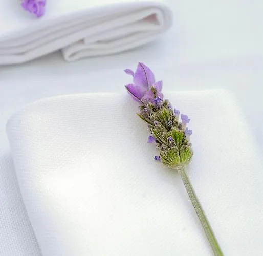 Bed & Breakfast Quinta Da Lua 4*