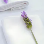 Nocleg ze śniadaniem Quinta Da Lua 4*